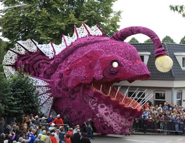 Bildschirmarbeiter - Picdump KW 36/2025