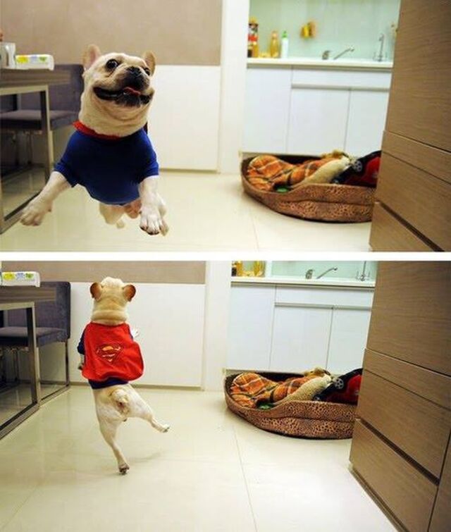 Bildschirmarbeiter - Picdump KW 36/2025