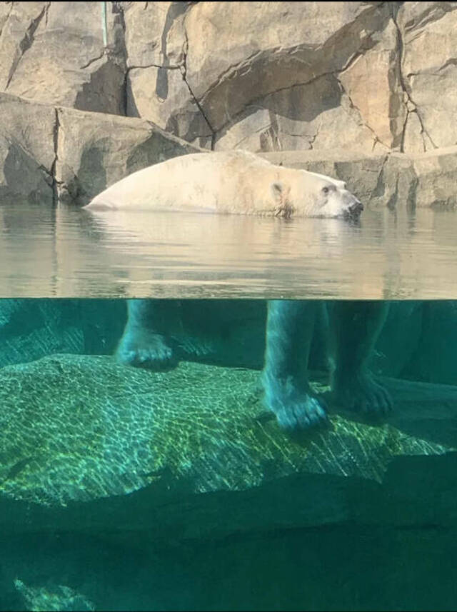 Bildschirmarbeiter - Picdump KW 36/2025