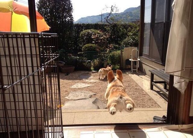 Bildschirmarbeiter - Picdump KW 36/2025