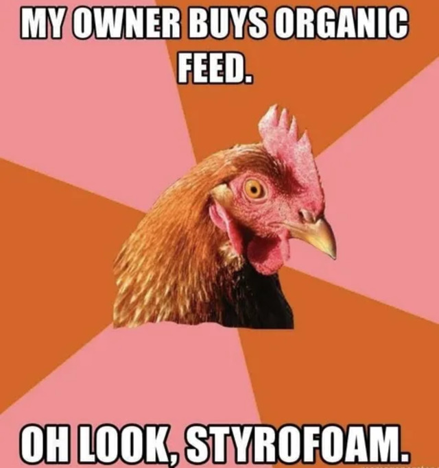 Bildschirmarbeiter - Picdump KW 36/2025