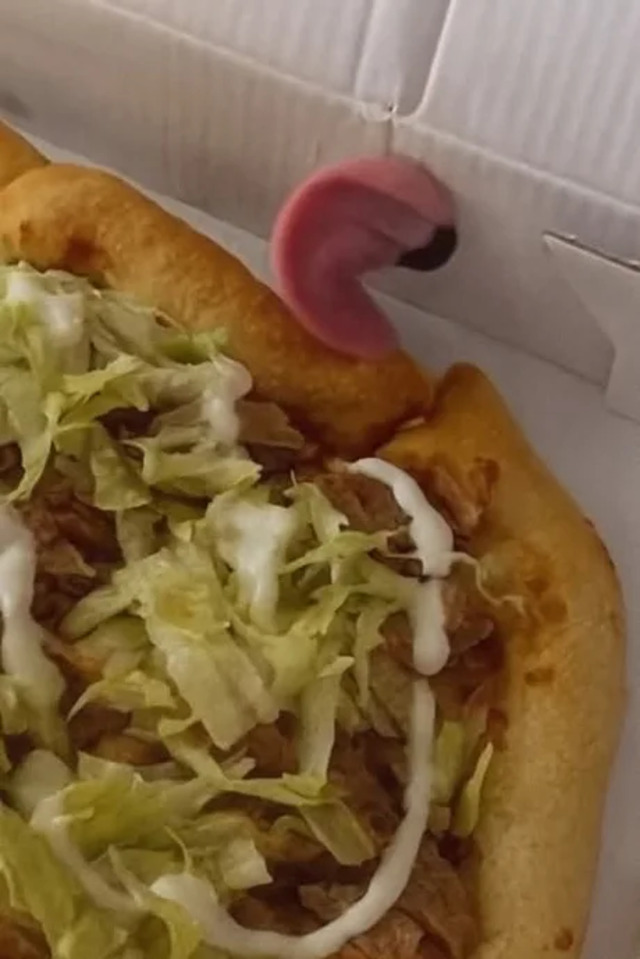 Bildschirmarbeiter - Picdump KW 36/2025