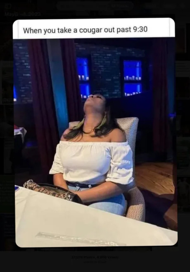 Bildschirmarbeiter - Picdump KW 36/2025