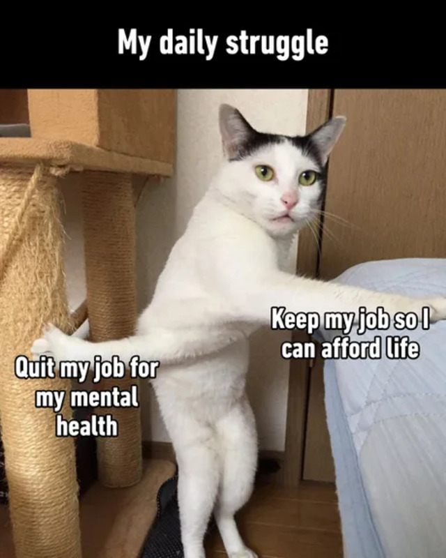 Bildschirmarbeiter - Picdump KW 36/2025