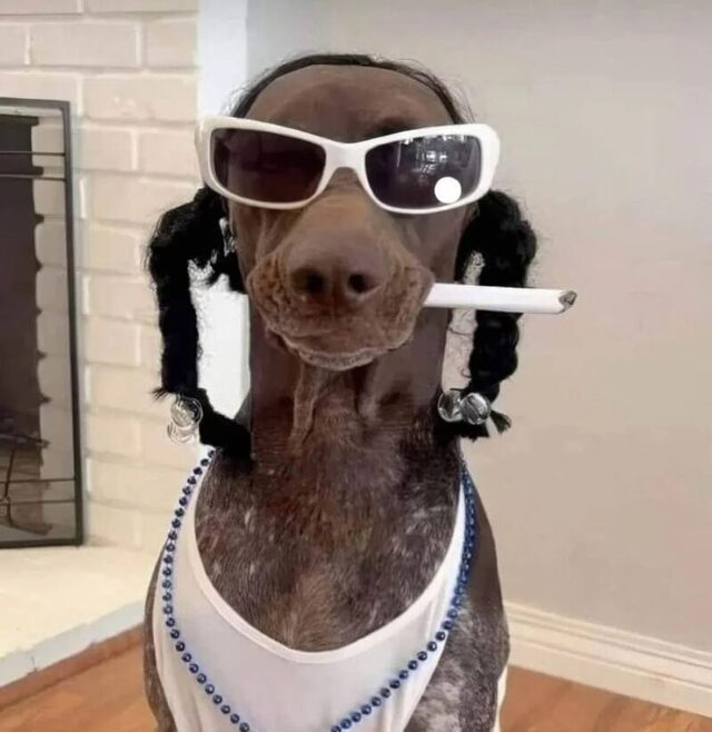 Bildschirmarbeiter - Picdump KW 36/2025