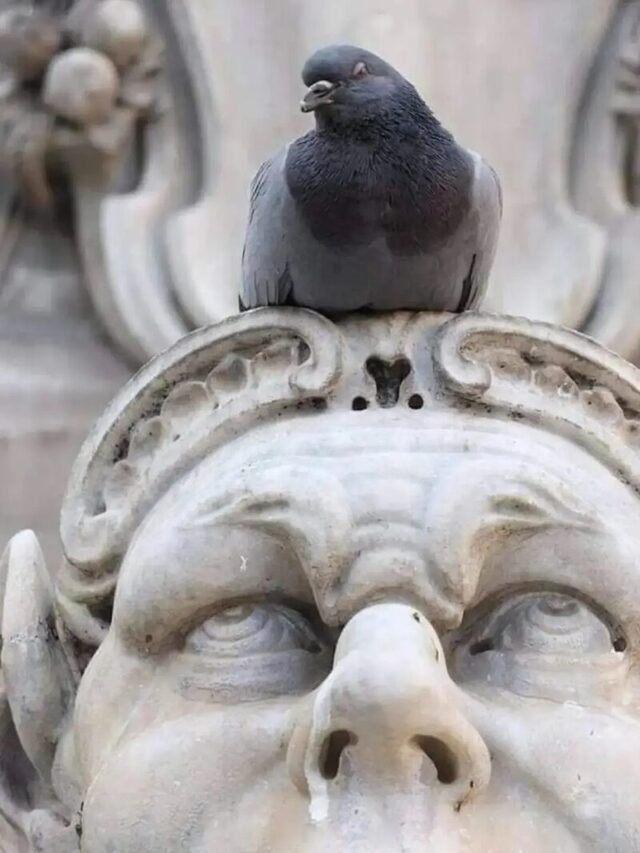 Bildschirmarbeiter - Picdump KW 36/2025