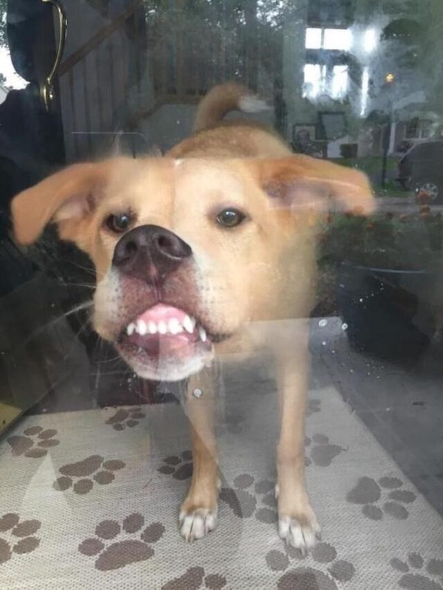 Bildschirmarbeiter - Picdump KW 36/2025