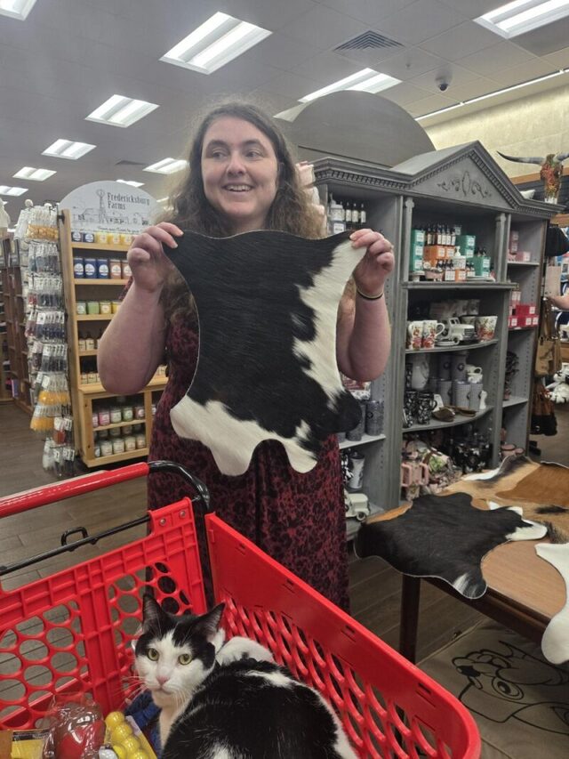 Bildschirmarbeiter - Picdump KW 36/2025