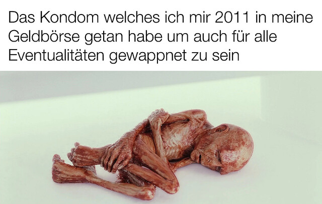 Bildschirmarbeiter - Picdump KW 36/2025