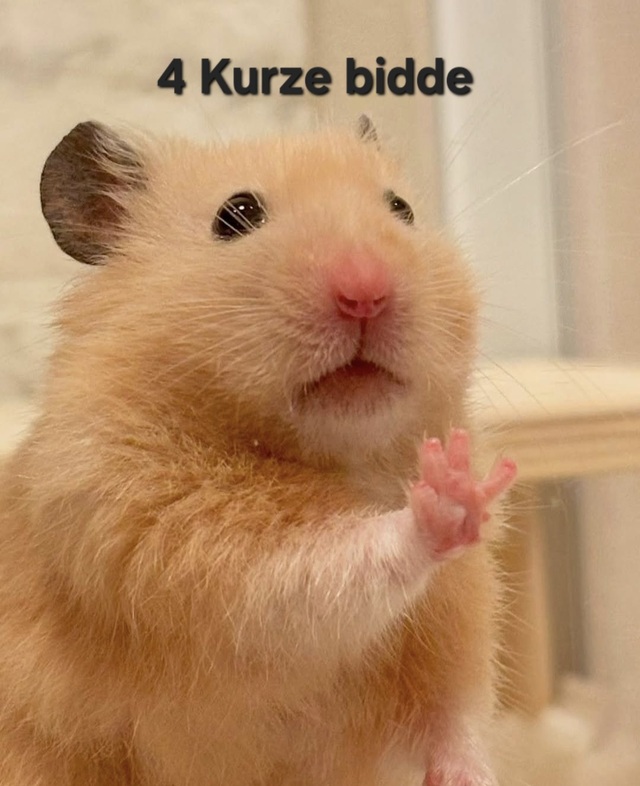 Bildschirmarbeiter - Picdump KW 36/2025