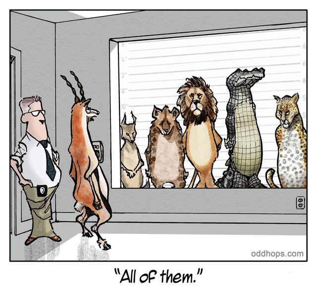 Bildschirmarbeiter - Picdump KW 36/2025