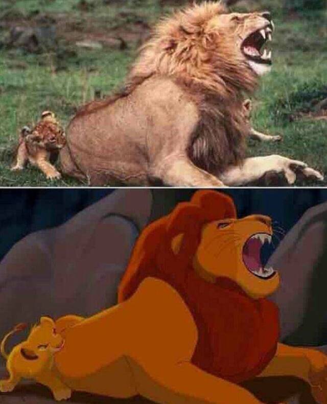 Nachschlag - Bildschirmarbeiter - Picdump KW37 2020