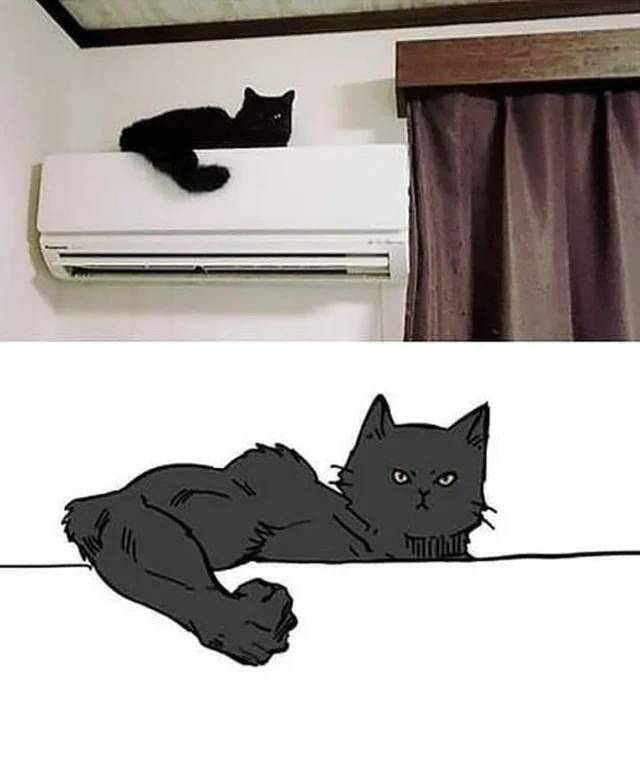 Nachschlag - Bildschirmarbeiter - Picdump KW37 2020