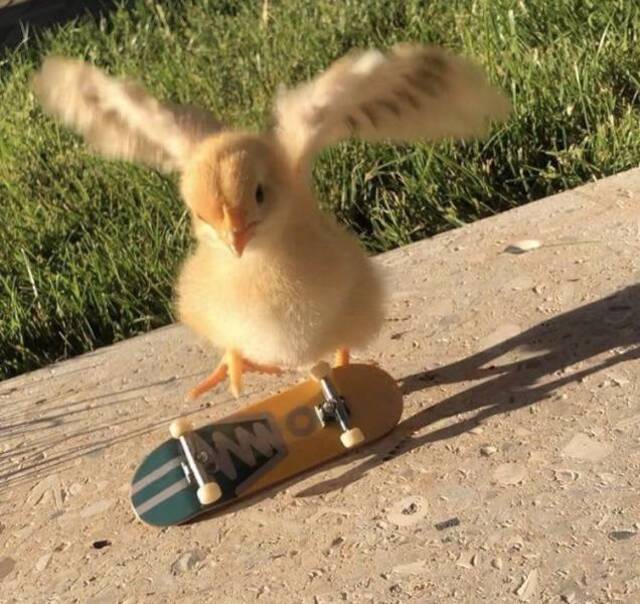 Nachschlag - Bildschirmarbeiter - Picdump KW37 2020