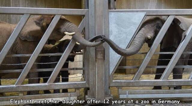 Nachschlag - Bildschirmarbeiter - Picdump KW37 2020