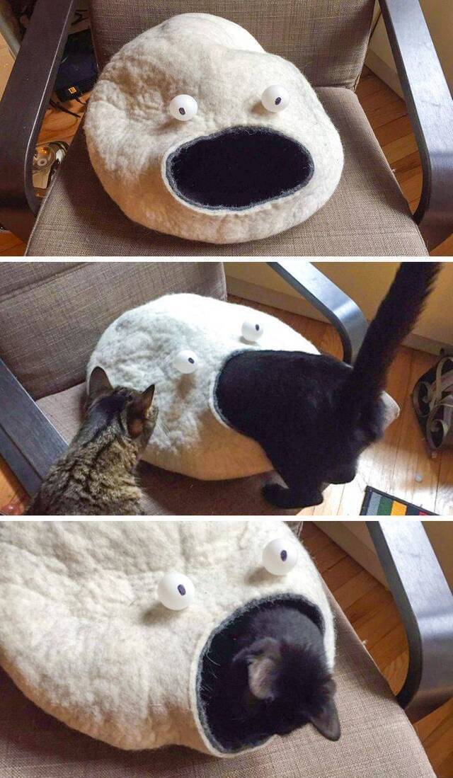 Nachschlag - Bildschirmarbeiter - Picdump KW37 2020