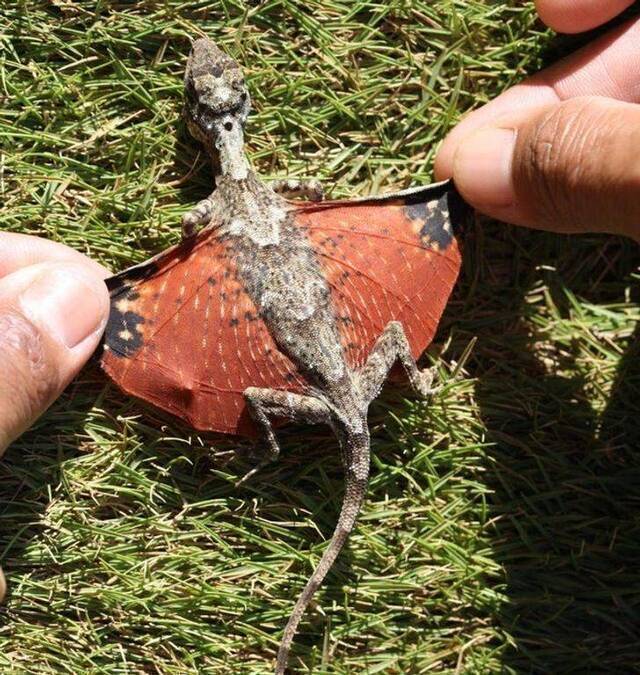 Nachschlag - Bildschirmarbeiter - Picdump KW37 2020