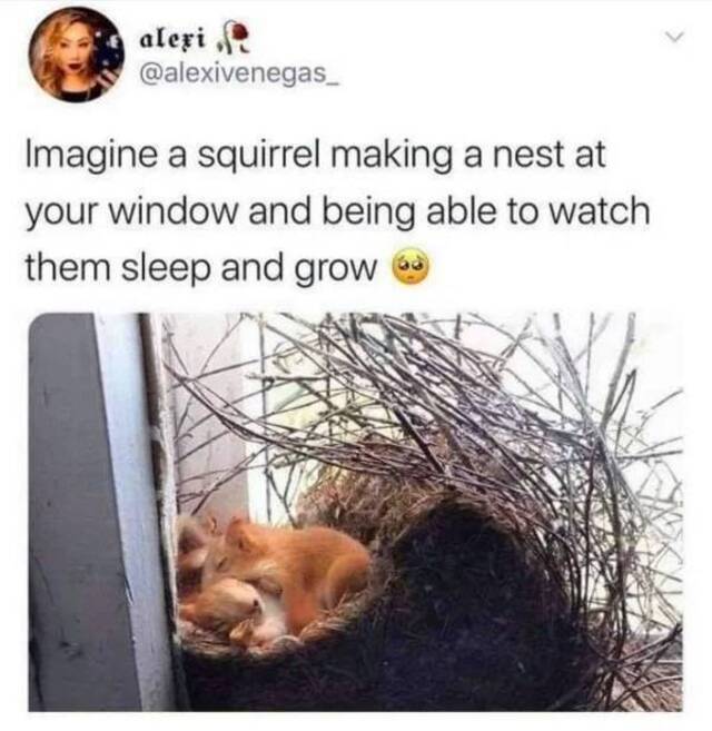 Nachschlag - Bildschirmarbeiter - Picdump KW37 2020