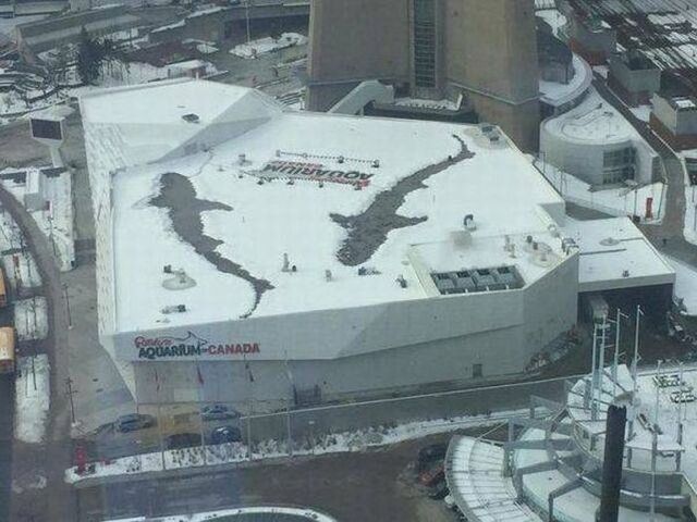 Bildschirmarbeiter - Picdump KW 37/2025