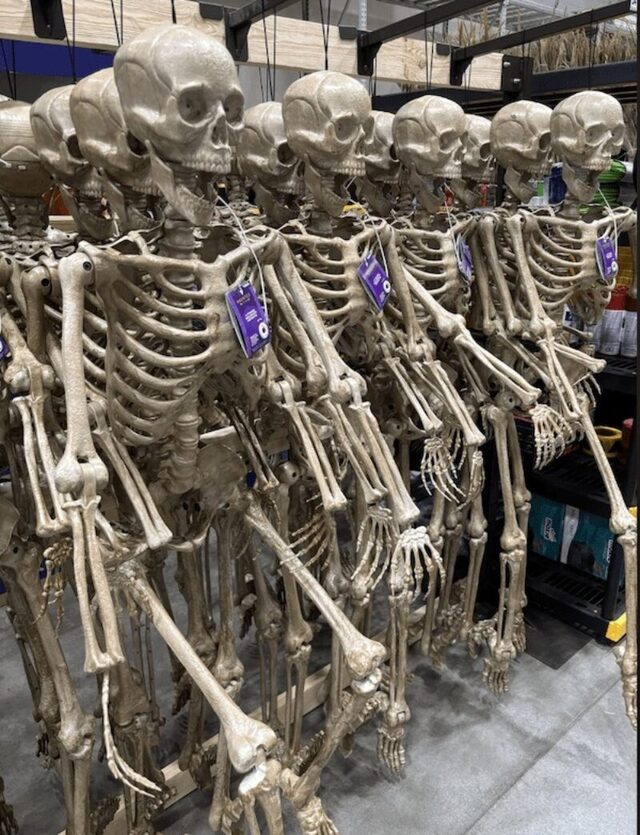 Bildschirmarbeiter - Picdump KW 37/2025