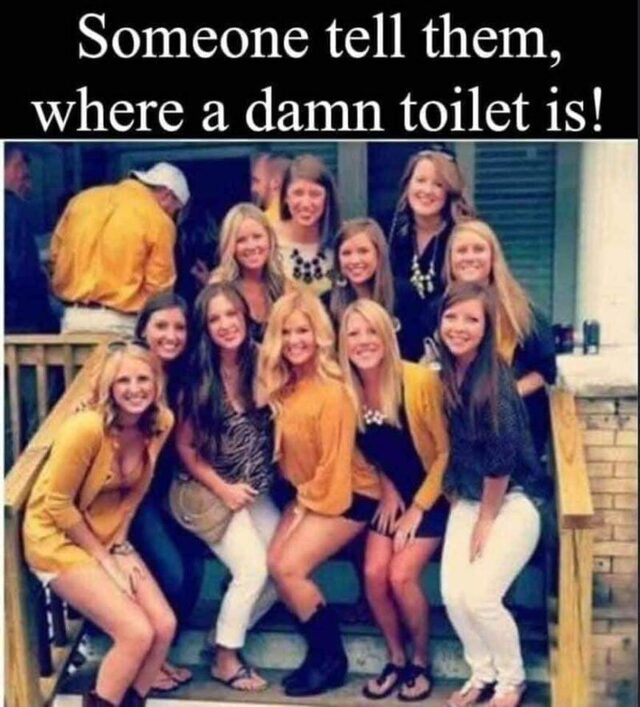 Bildschirmarbeiter - Picdump KW 37/2025