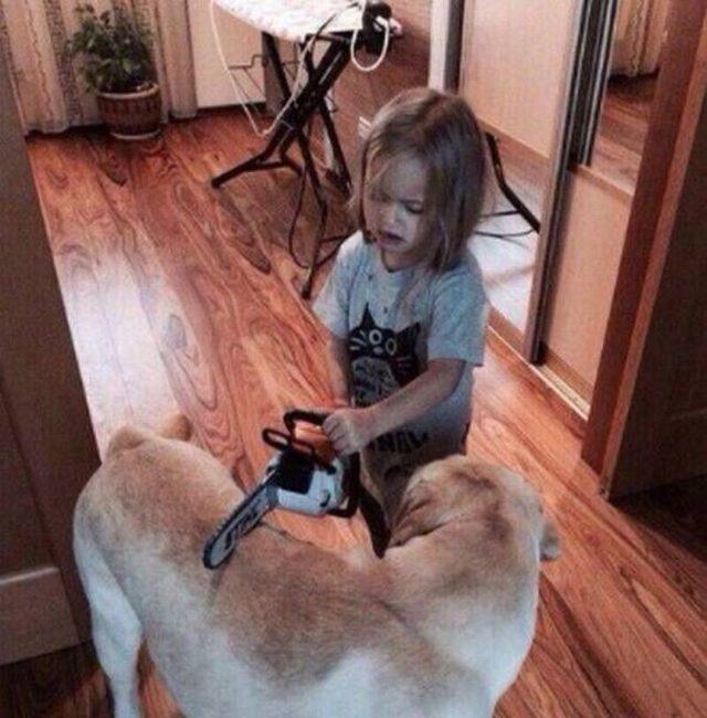 Bildschirmarbeiter - Picdump KW 37/2025