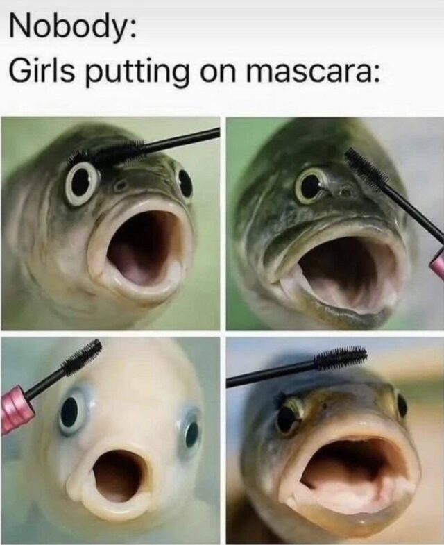 Bildschirmarbeiter - Picdump KW 37/2025