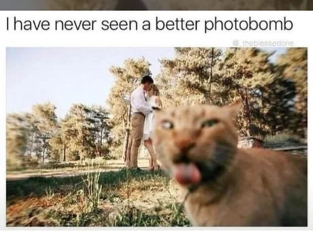 Bildschirmarbeiter - Picdump KW 37/2025