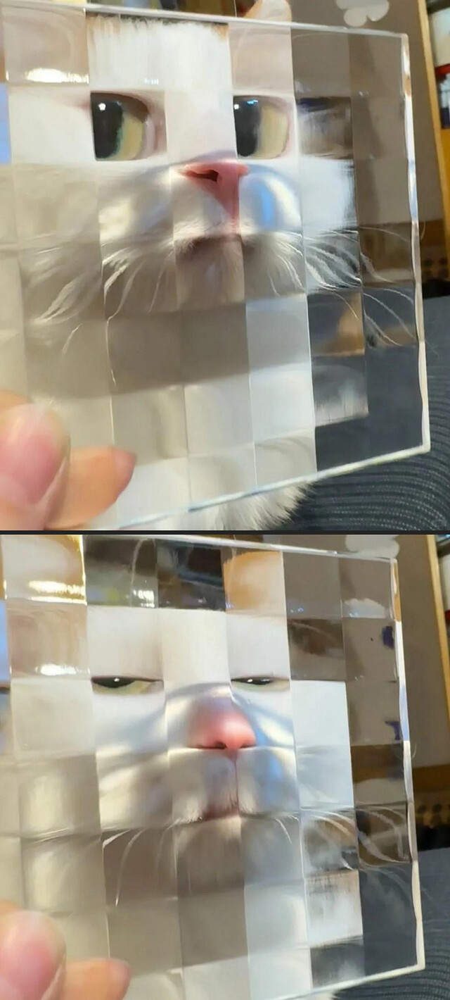 Bildschirmarbeiter - Picdump KW 37/2025