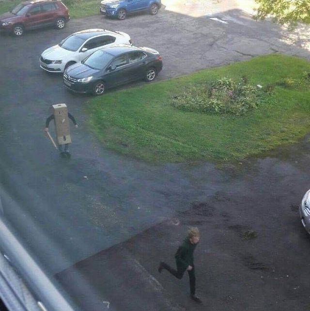 Bildschirmarbeiter - Picdump KW 38/2025