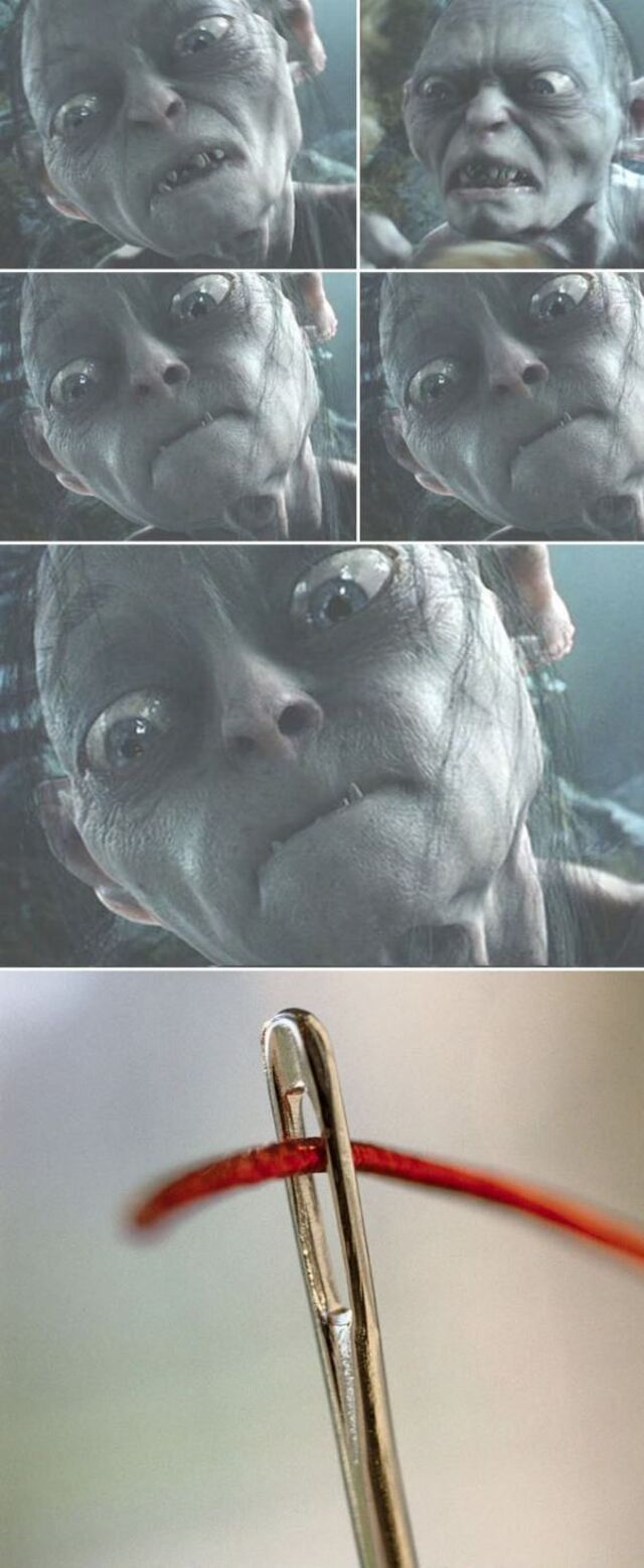 Bildschirmarbeiter - Picdump KW 38/2025