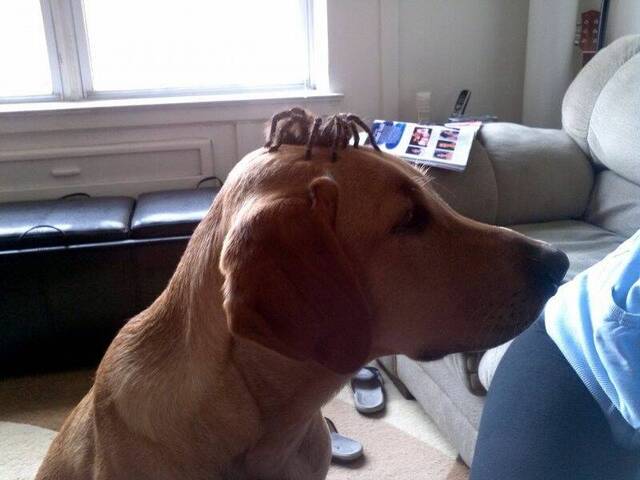 Bildschirmarbeiter - Picdump KW 38/2025