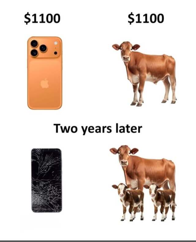 Bildschirmarbeiter - Picdump KW 38/2025