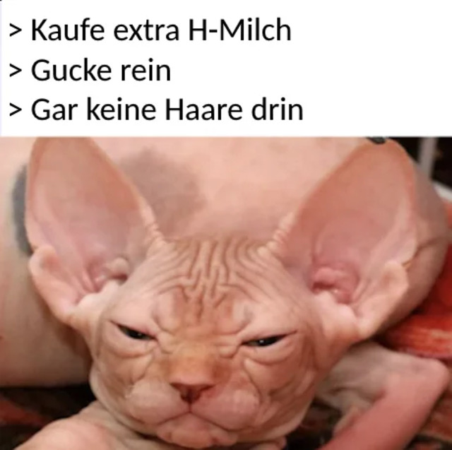 Bildschirmarbeiter - Picdump KW 38/2025