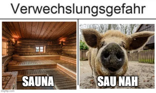 Bildschirmarbeiter - Picdump KW 38/2025