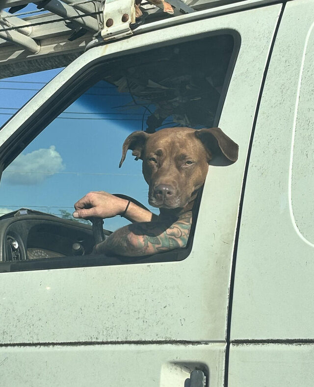 Bildschirmarbeiter - Picdump KW 38/2025