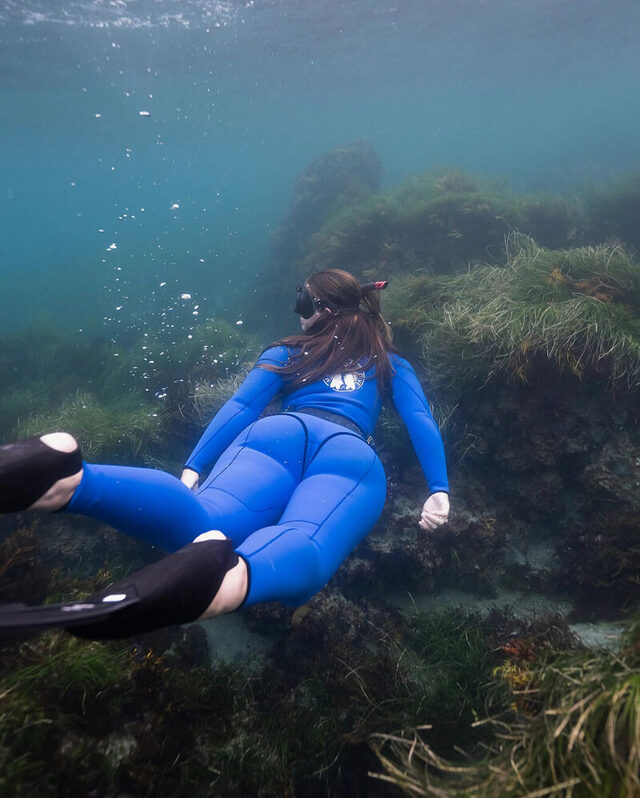 Bildschirmarbeiter - Picdump KW 38/2025