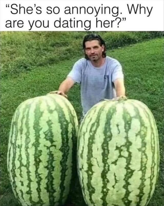 Bildschirmarbeiter - Picdump KW 38/2025