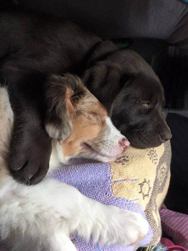 Bildschirmarbeiter - Picdump KW 38/2025