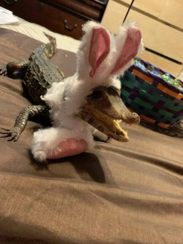 Bildschirmarbeiter - Picdump KW 38/2025