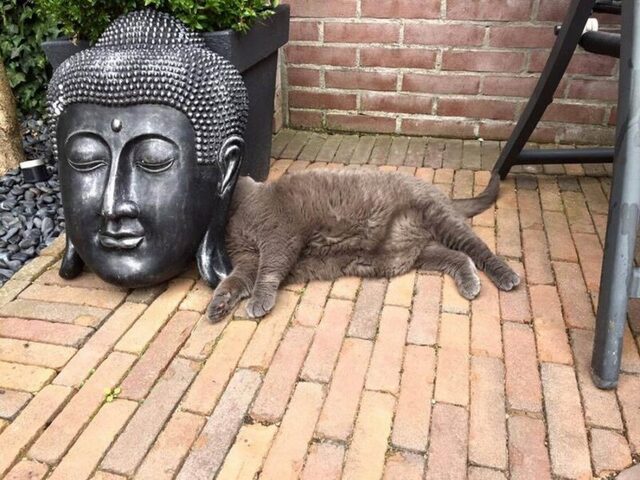 Bildschirmarbeiter - Picdump KW 38/2025