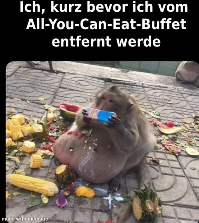 Bildschirmarbeiter - Picdump KW 38/2025