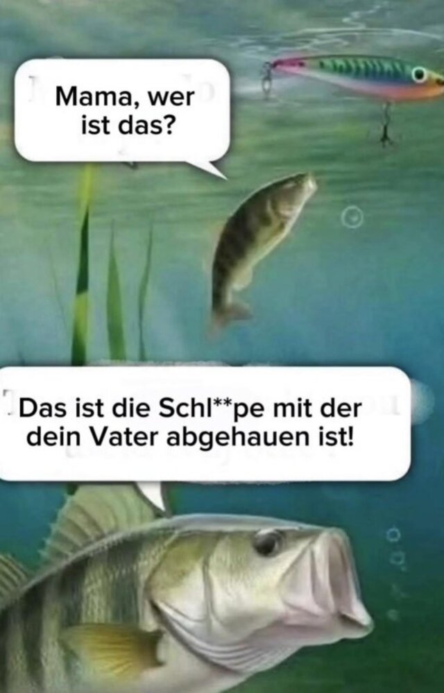 Bildschirmarbeiter - Picdump KW 38/2025