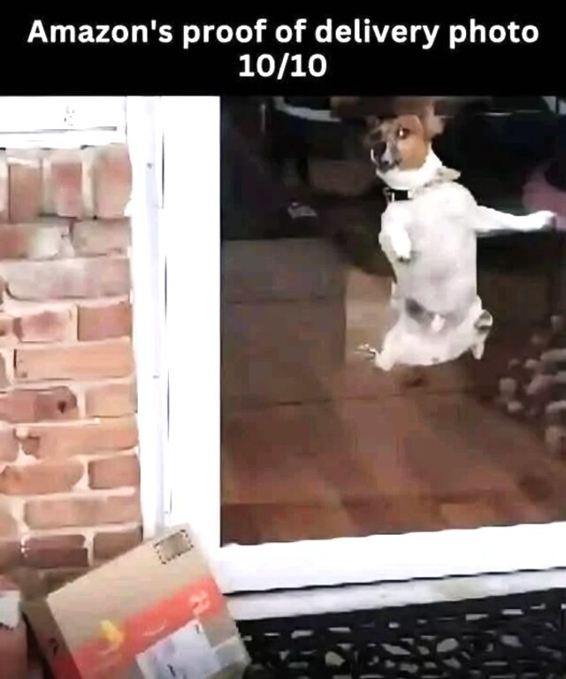 Bildschirmarbeiter - Picdump KW 38/2025