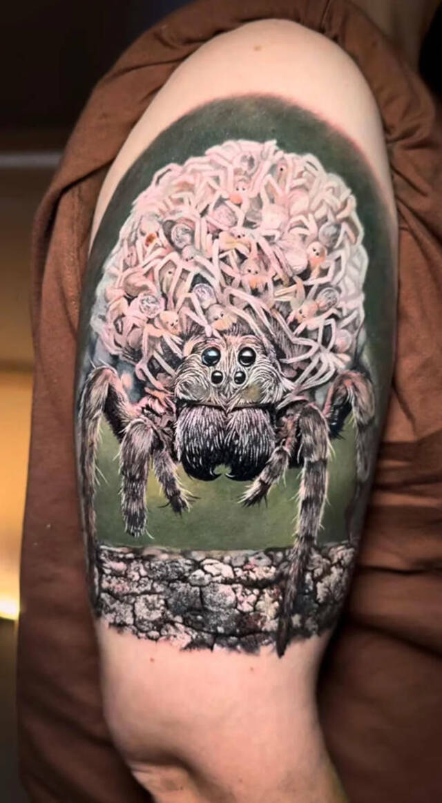 Bildschirmarbeiter - Picdump KW 38/2025