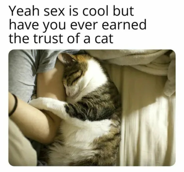 Bildschirmarbeiter - Picdump KW39 2020