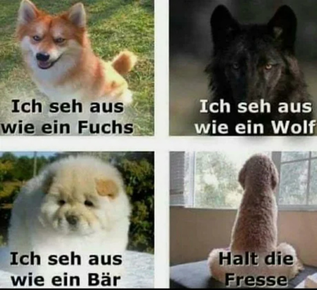 Bildschirmarbeiter - Picdump KW39 2020