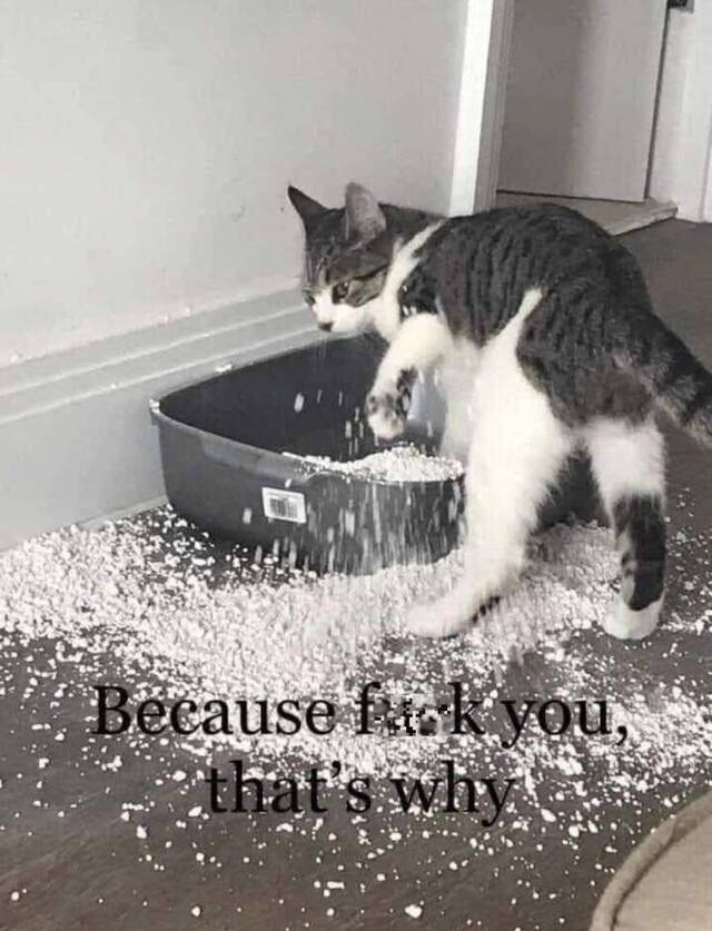 Bildschirmarbeiter - Picdump KW39 2020