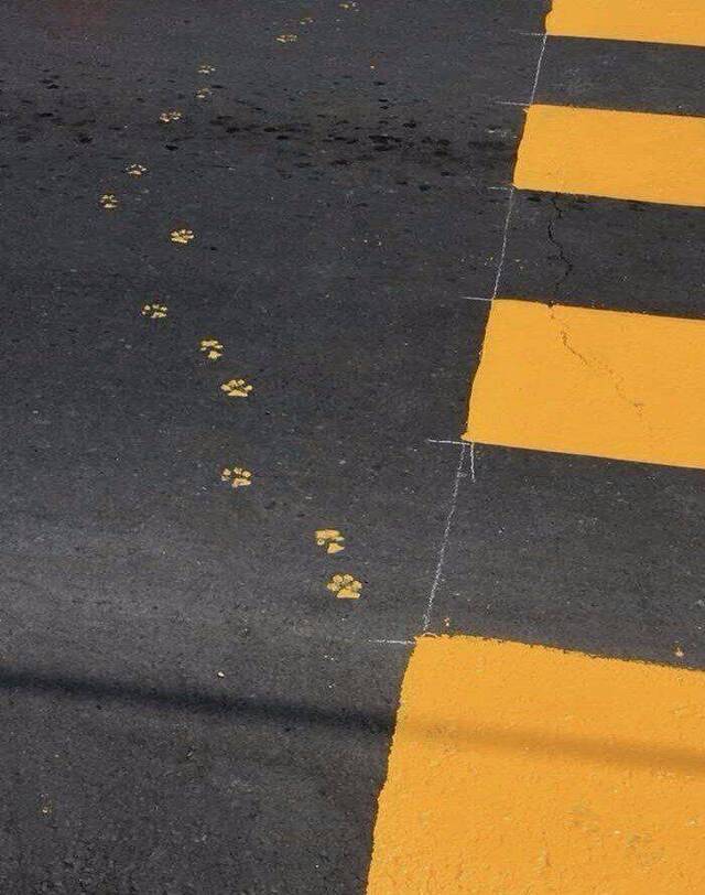 Bildschirmarbeiter - Picdump KW39 2020