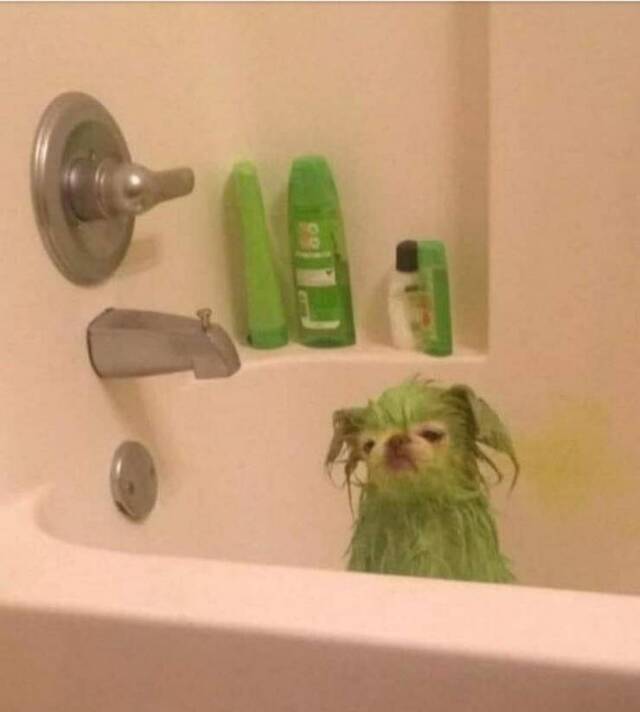 Bildschirmarbeiter - Picdump KW39 2020